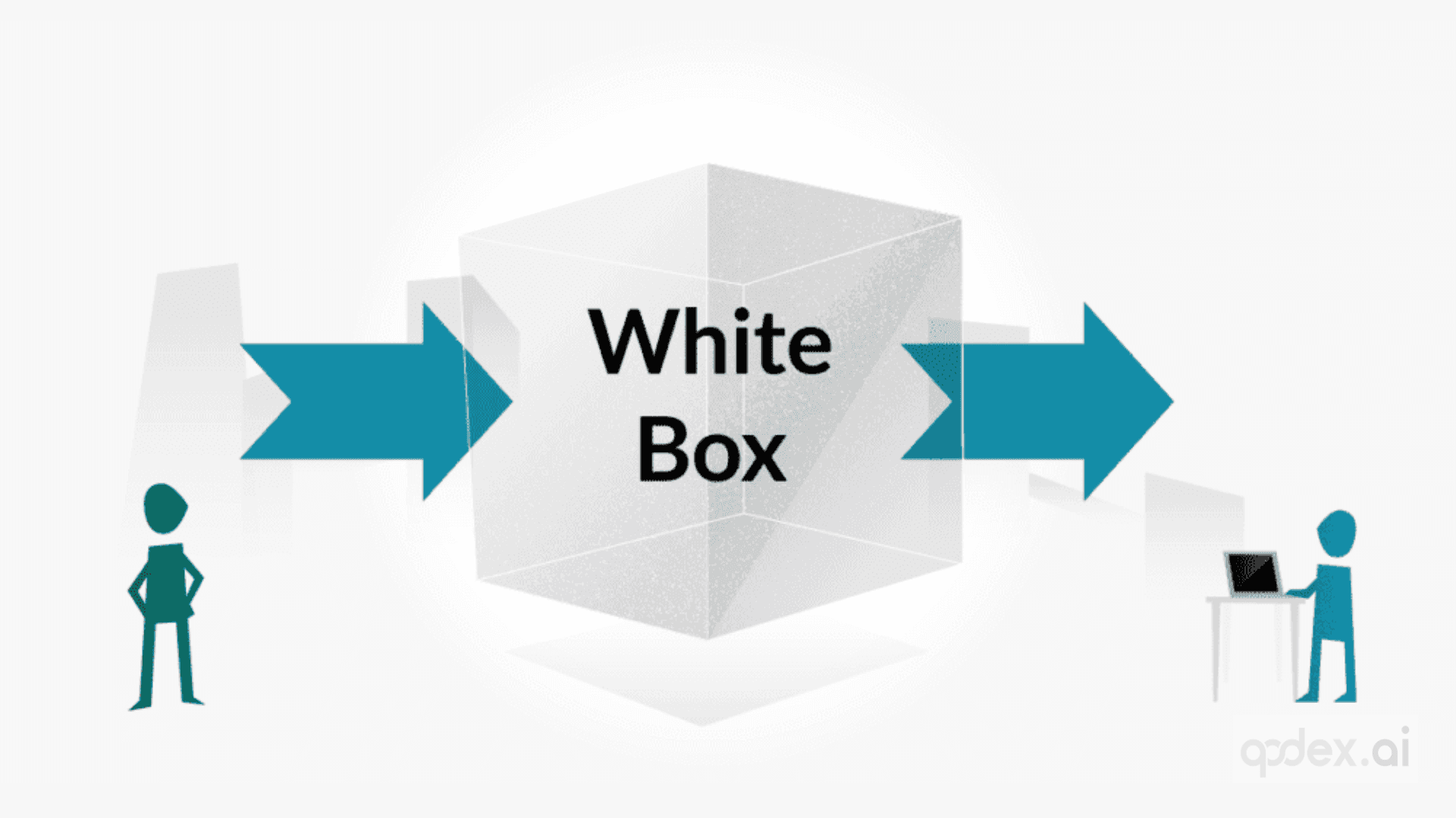 white-box testing