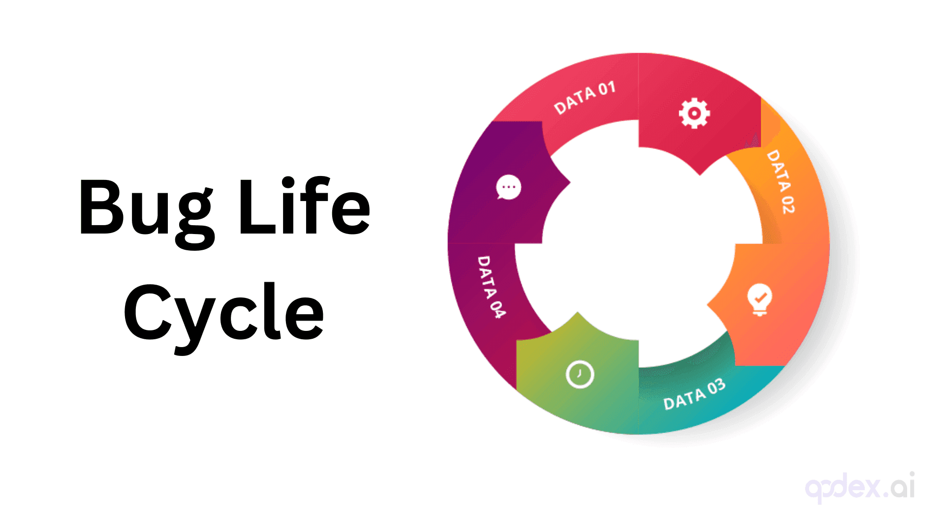 Bug Life Cycle