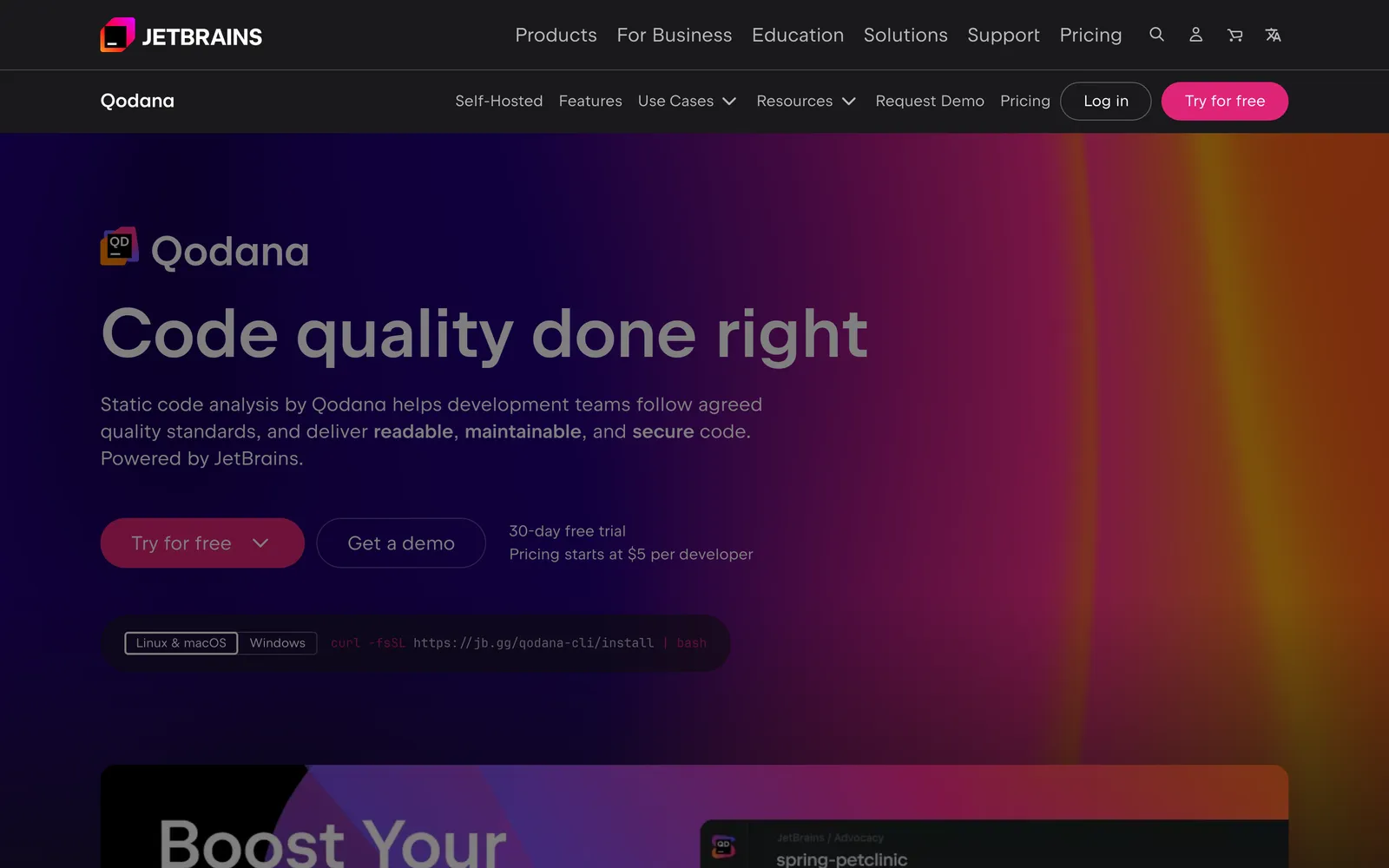 Qodana homepage: Code quality done right